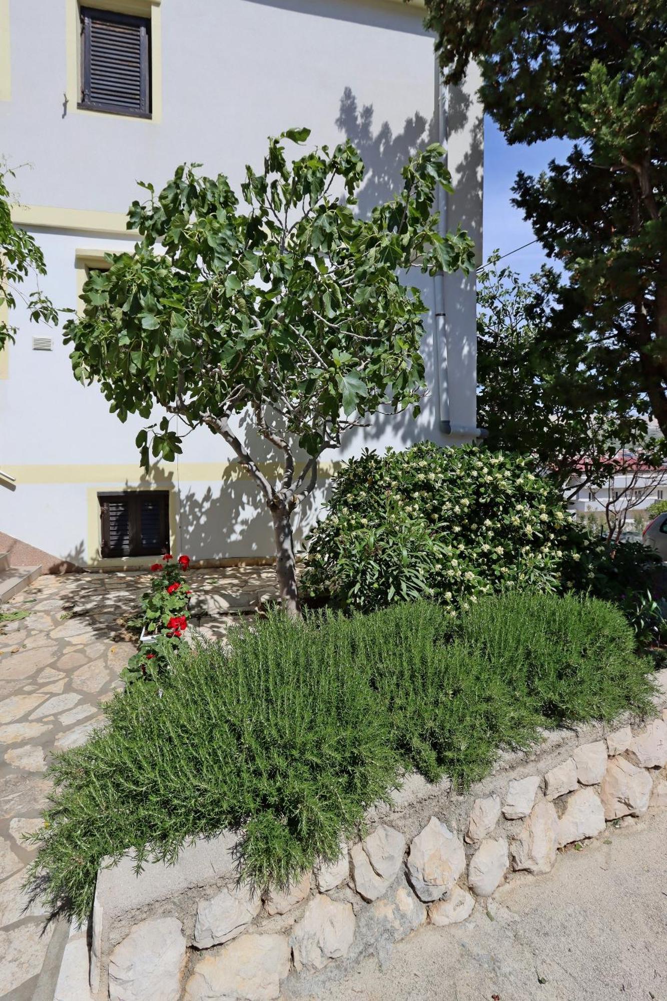 Apartments With A Parking Space Pag - 18345 باغ المظهر الخارجي الصورة